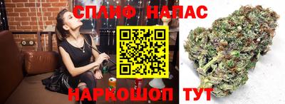 ПСИЛОЦИБИНОВЫЕ ГРИБЫ Кингисепп