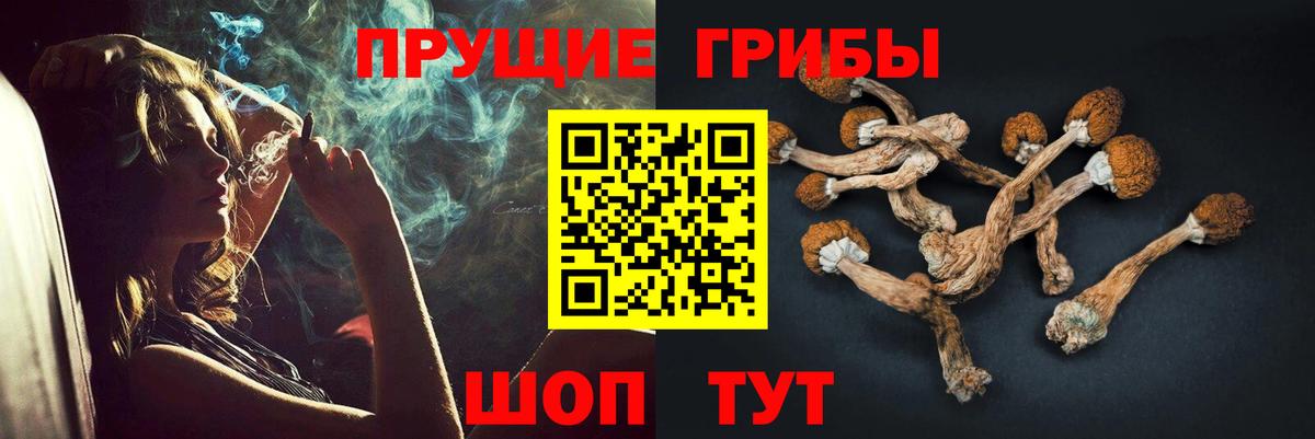 Галлюциногенные грибы мицелий Коряжма