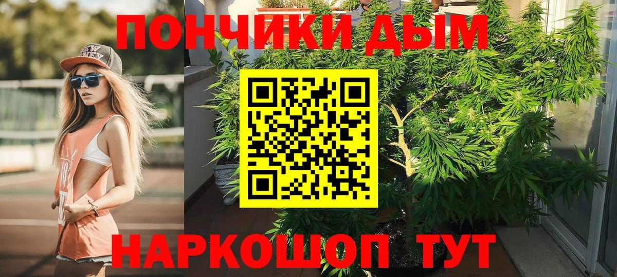 Марихуана MAZAR  Шишки марихуана AK-47  Вход с VPN  Коряжма 